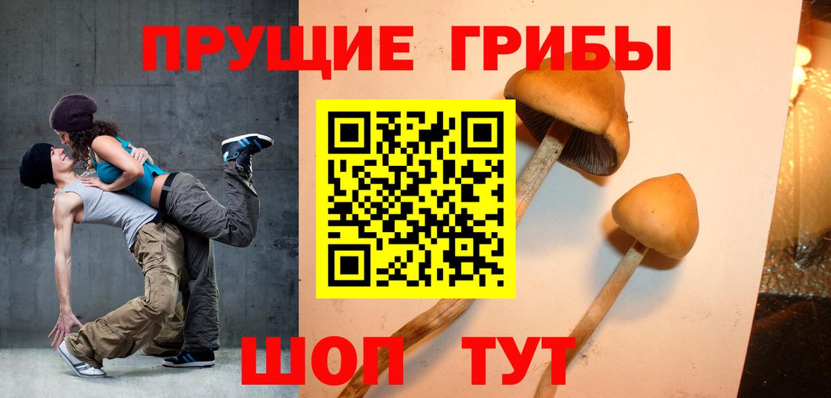 Псилоцибиновые грибы Psilocybe  купить  цена  Вход с VPN  Дербент  Галлюциногенные грибы мицелий 